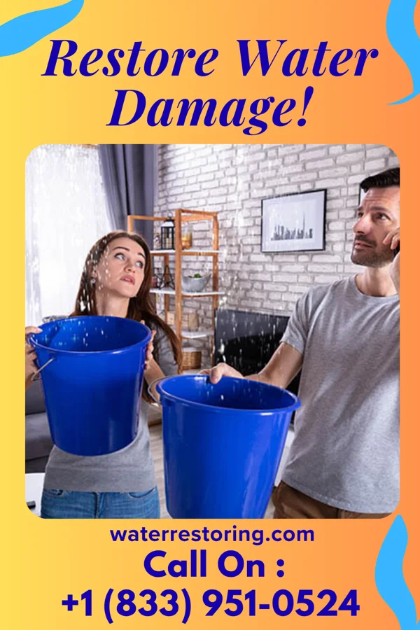 water restoration National Restoration Professionals New Lenox