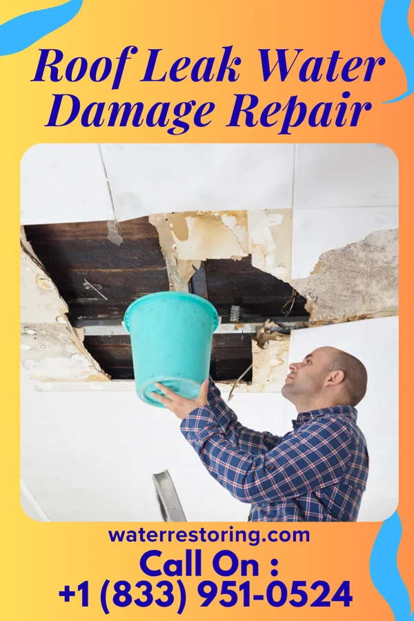 Roof Leak Water Damage Repair in New Lenox, IL