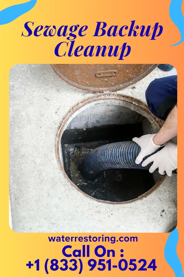 Sewage Backup Cleanup in New Lenox, IL